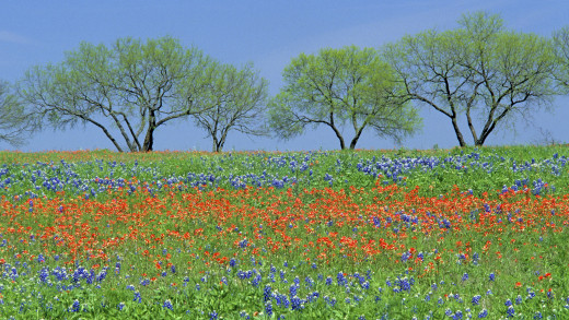 626827 (a): :1920x1080